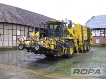 ROPA euro-Tiger V8-3 - Beet harvester