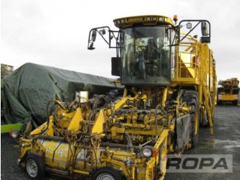 ROPA euro-Tiger V8-3 - Beet harvester