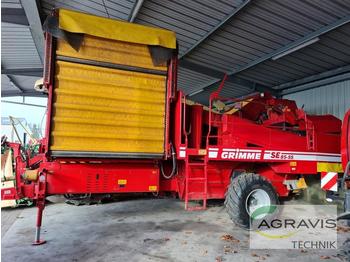 Potato harvester Grimme SE 85-55 SB: picture 1