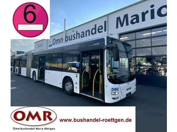 City bus MAN A 23 Lion's City G/Citaro/530/Euro 6/4-türig: picture 1