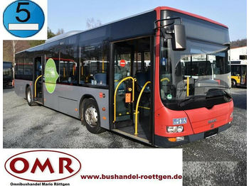 City bus MAN A 37 Lion´s City/A20/A21/530/Citaro: picture 1