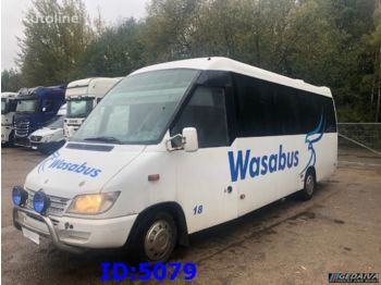 Minibus, Passenger van MERCEDES-BENZ Sprinter 616 - VIP: picture 1