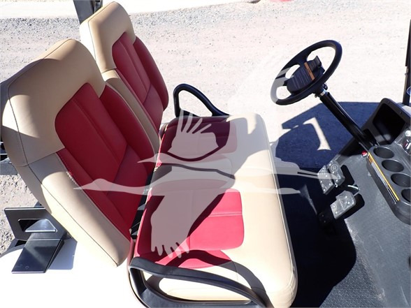 Golf cart 2018 E-Z-GO FREEDOM TXT: picture 2