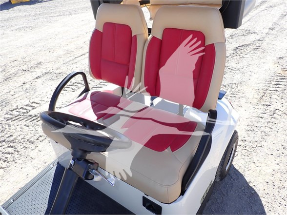 Golf cart 2018 E-Z-GO FREEDOM TXT: picture 19