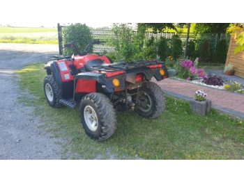 Side-by-side/ ATV CCM LX600 4A: picture 1