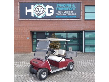 Golf cart Club-car DS 2 zitter: picture 1