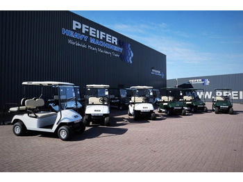 BRINGO DG-C2 Valid Inspection, *Guarantee! Dutch R  - Golf cart