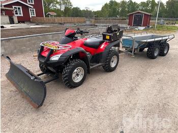 Side-by-side/ ATV HONDA TRX680FA: picture 1
