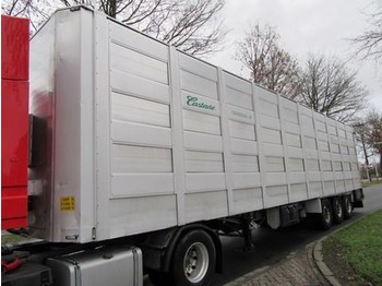 Livestock semi-trailer Castane 3107S MONTULL: picture 1