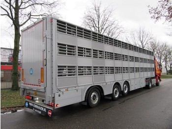 New Livestock semi-trailer Pezzaioli SBA 63 S: picture 1