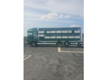 Livestock semi-trailer SCANIA R500: picture 1