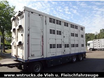 Menke 3 Stock Ausahrbares Dach Vollalu Typ 2  - Livestock trailer