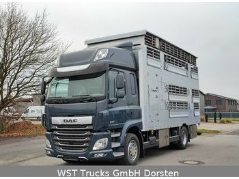 New Livestock truck DAF CF 430 SC Pezzaioli 2 Stock Hubdach Neufahrzeug: picture 1