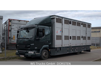 Livestock truck DAF LF 45 12.220 Menke Doppelstock: picture 3