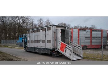 Livestock truck DAF LF 45 12.220 Menke Doppelstock: picture 4