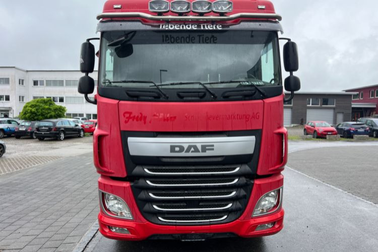 Cab chassis truck DAF XF460 6x2: picture 2