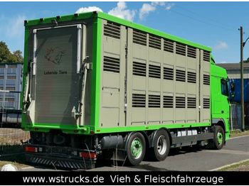 Livestock truck DAF  XF 105/460 SC Menke 3 Stock Hubdach: picture 1