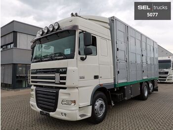 Livestock truck DAF XF 105.460 / ZF Intarder / 3 Stock: picture 1