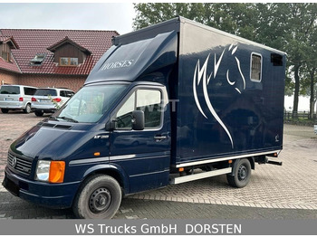 Volkswagen LT 35 mit Roelofsen Classic Top Aufbau  - Horse truck