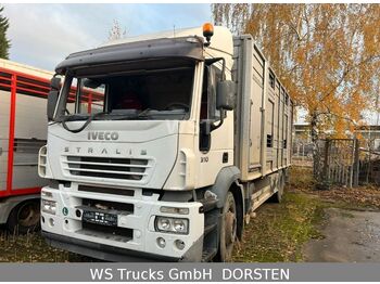 Livestock truck IVECO Stralis