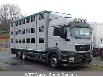 Livestock truck MAN TGX 26.440 LXL Menke   3 Stock Vollalu: picture 1