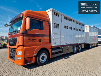 Livestock truck MAN TGX 26.480