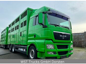 Livestock truck MAN TGX 26.480 XL KABA   3 Stock Vollalu: picture 1