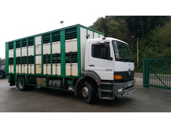 Livestock truck for transportation of animals MERCEDES ATEGO: picture 1