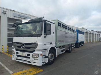 Livestock truck MERCEDES-BENZ Actros