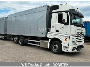 Livestock truck Mercedes-Benz Actros 2545 L BDF Menke Einstock "Neu" Mehrfach: picture 3