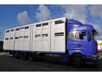 Livestock truck SCANIA R480LB8X4*4HNB: picture 1