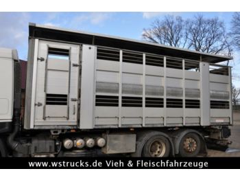Livestock truck Scheuwimmer BDF 2 Stock Aufbau Hubdach: picture 1