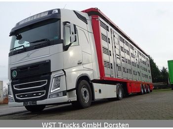 Livestock truck Volvo FH 460  XL Menke 4 Stock Vollausstattung: picture 1