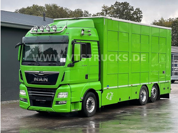 MAN TGX 26.460 6X2-4 LL Euro 6 3.Stock Cuppers - Livestock truck: picture 1