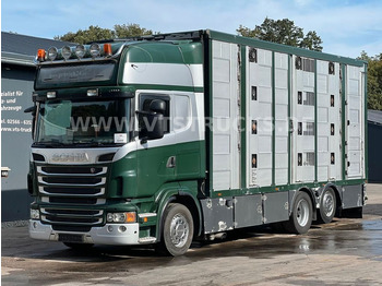 Scania R500 V8 6x2 Euro 5 4.Stock Menke Hubdach - Livestock truck: picture 1