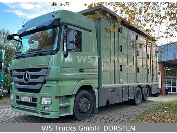 Mercedes-Benz Actros 2544 Menke 3 Stock Vollalu Hubdach - Livestock truck: picture 1