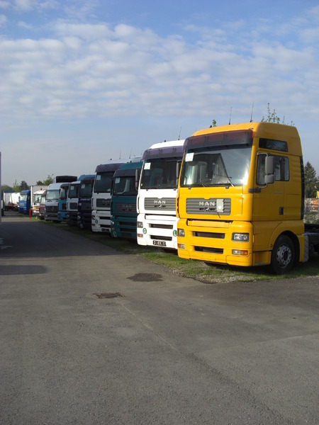 LKW Lasic GmbH - Tractor units MAN - Year: 2016, 4x2 undefined: picture 2