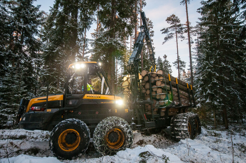 Tractoaredepadure.ro undefined: picture 5