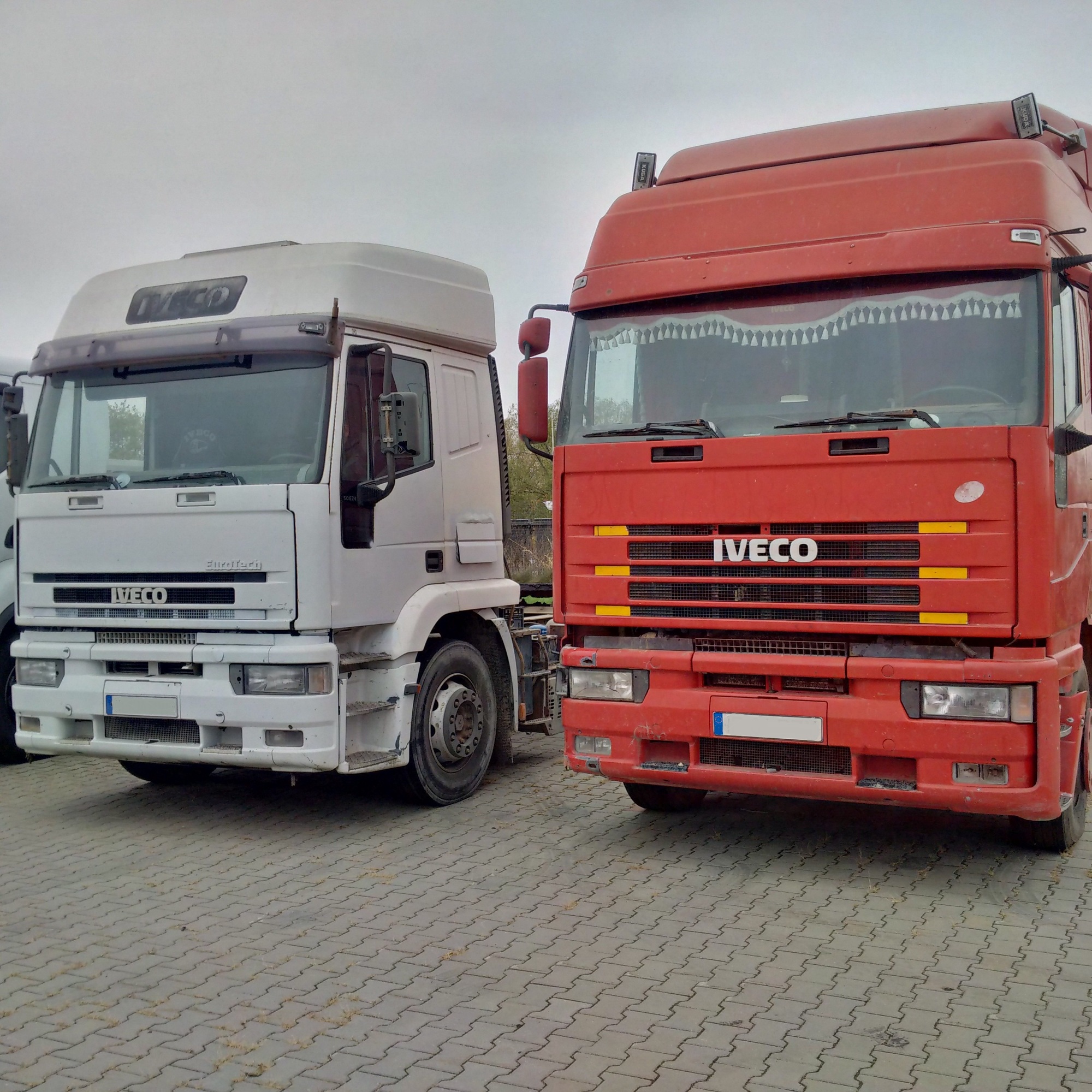 Britannia Export Consultants Limited undefined: picture 27