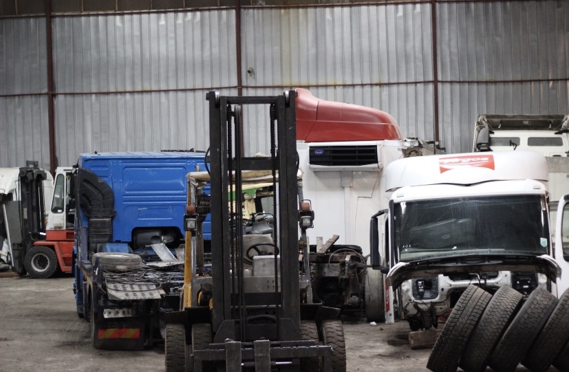 EGDA truckparts - Tractor units - Year: 2023 undefined: picture 3