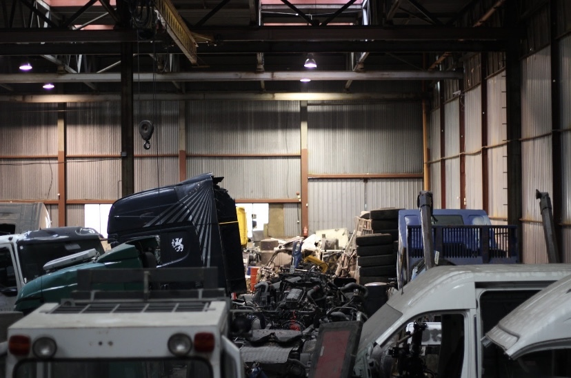 EGDA truckparts - Tractor units - Year: 2023 undefined: picture 7