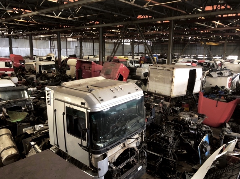 EGDA truckparts - Tractor units - Year: 2023 undefined: picture 2