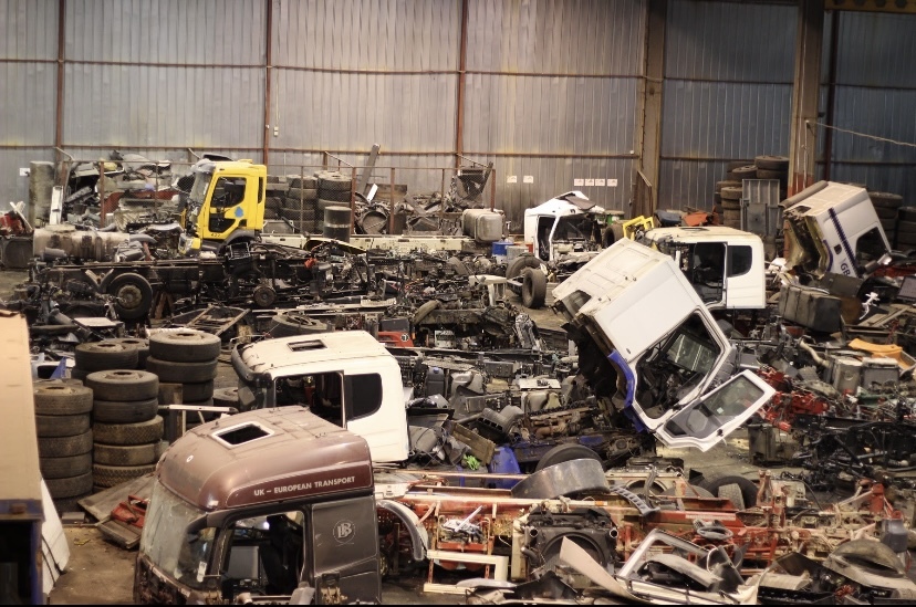 EGDA truckparts - Tractor units - Year: 2023 undefined: picture 11