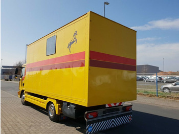 Lease a MAN TGL 10.180 Euro 4  Pferdetransporter Horse  MAN TGL 10.180 Euro 4  Pferdetransporter Horse: picture 5