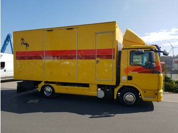 Lease a MAN TGL 10.180 Euro 4  Pferdetransporter Horse  MAN TGL 10.180 Euro 4  Pferdetransporter Horse: picture 3