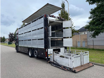 Lease a DAF XF 460 2017 berdex 3 lagen varkens DAF XF 460 2017 berdex 3 lagen varkens: picture 4