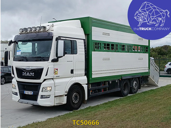 Livestock truck MAN TGX