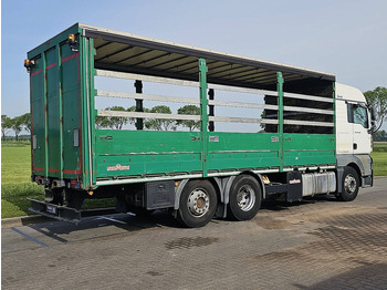 Lease a MAN 26.400 TGA XLX 6X2 INTARDER MAN 26.400 TGA XLX 6X2 INTARDER: picture 3