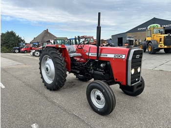 New Farm tractor Massey Ferguson 290: picture 3