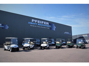 Golf cart BRINGO DG-C2 Valid Inspection, *Guarantee! Dutch R: picture 3